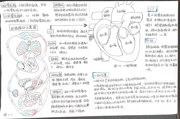 图片 3